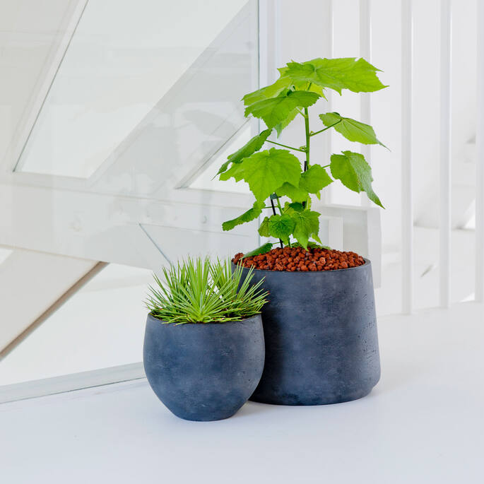 Mini Orb M, Black Washed