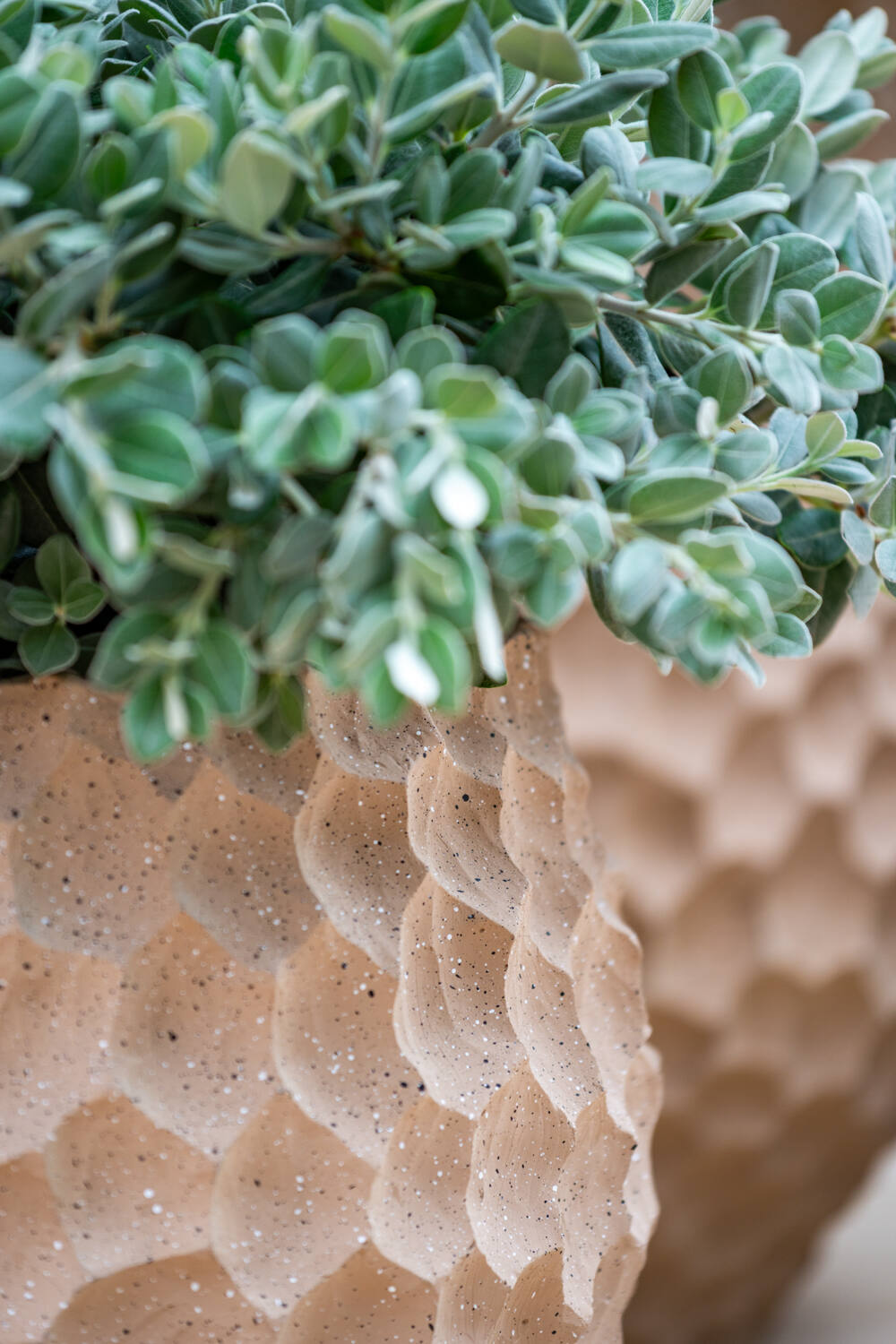 Pottery Pots - Bloempot Khali L, Gebakken Zand