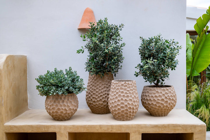 Pottery Pots - Bloempot Thur L, Gebakken Zand