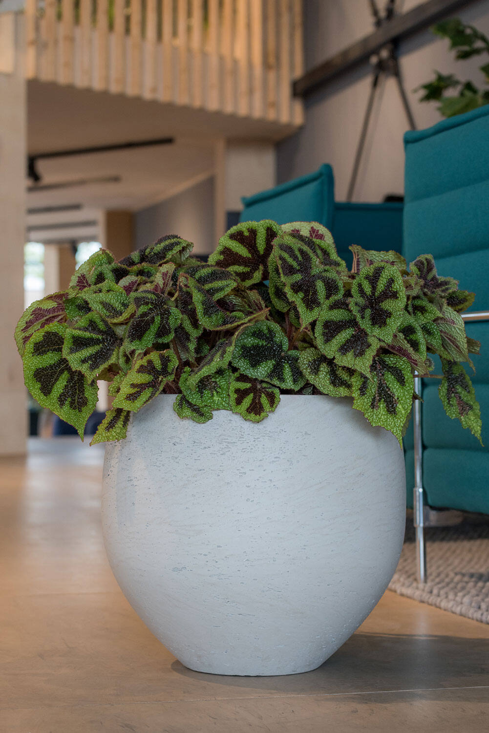 Pottery Pots - Bloempot Mini Orb S, Grijs Washed