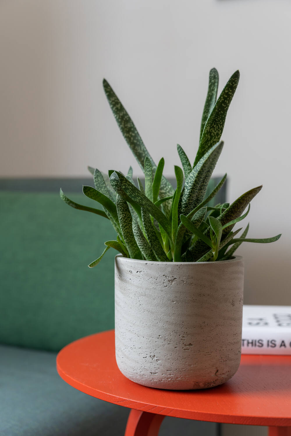 Pottery Pots - Bloempot Charlie XS, Grijs Washed