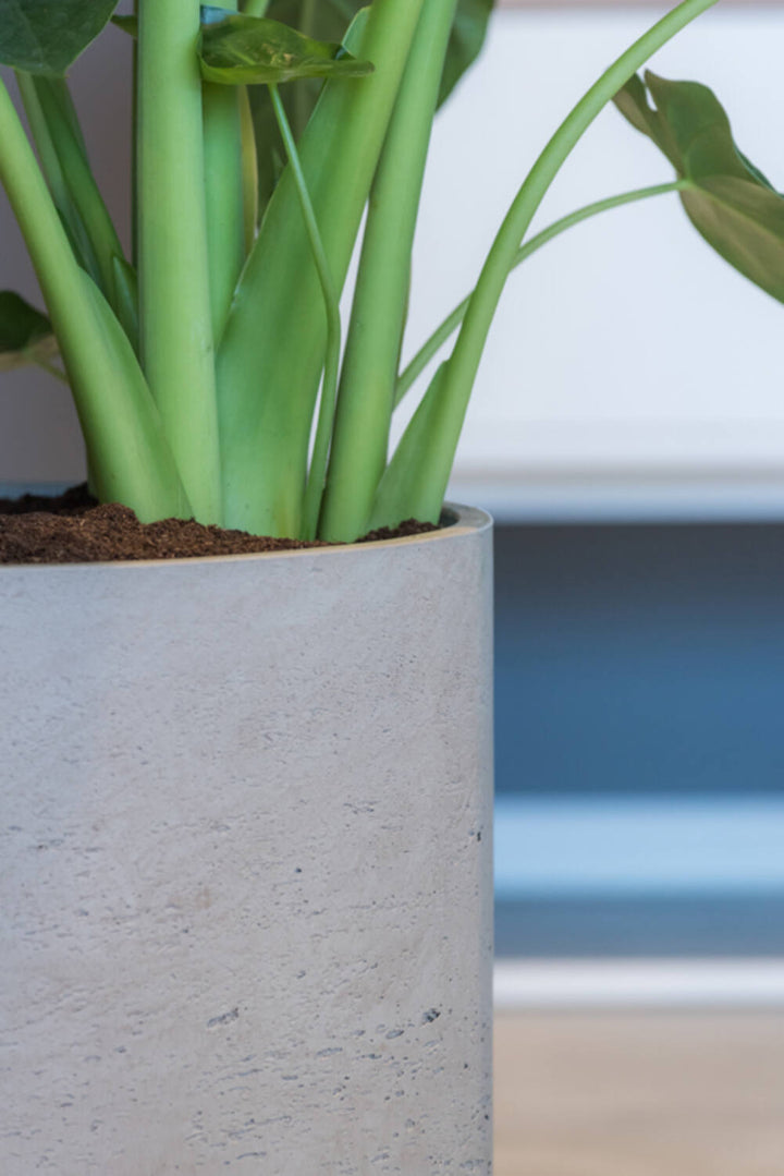Pottery Pots - Bloempot Charlie XL, Grijs Washed