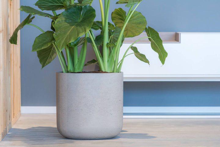 Pottery Pots - Bloempot Charlie XL, Grijs Washed