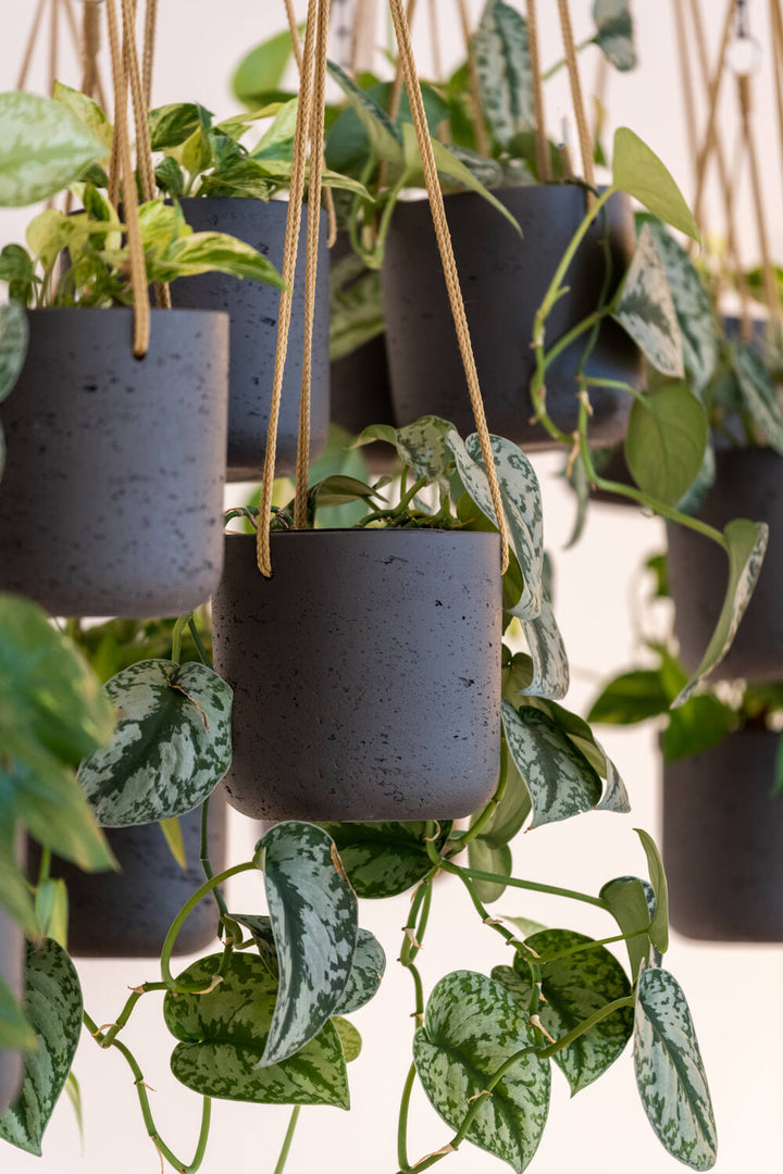 Pottery Pots - Bloempot Charlie S (hanging) Black Washed, Zwart Washed