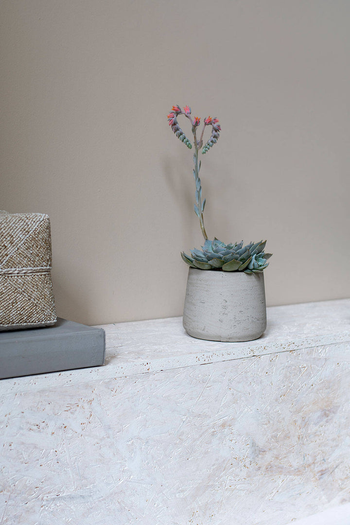 Pottery Pots - Bloempot Patt S, Grijs Washed