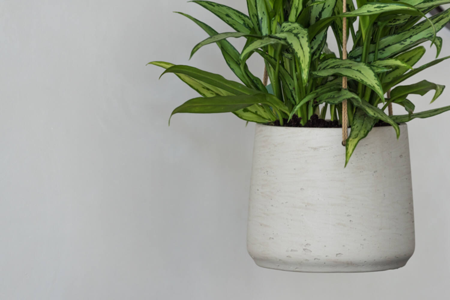 Pottery Pots - Bloempot Patt L (hanging) Grey Washed, Grijs Washed