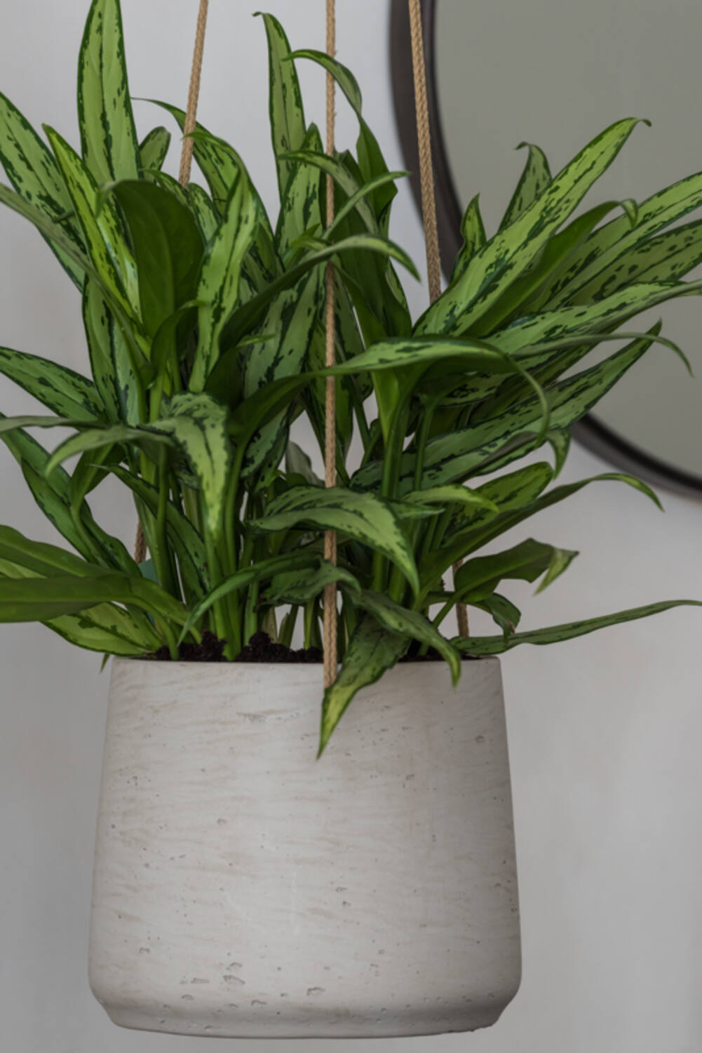 Pottery Pots - Bloempot Patt XL (hanging) Grey Washed, Grijs Washed