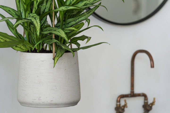 Pottery Pots - Bloempot Patt XL (hanging) Grey Washed, Grijs Washed