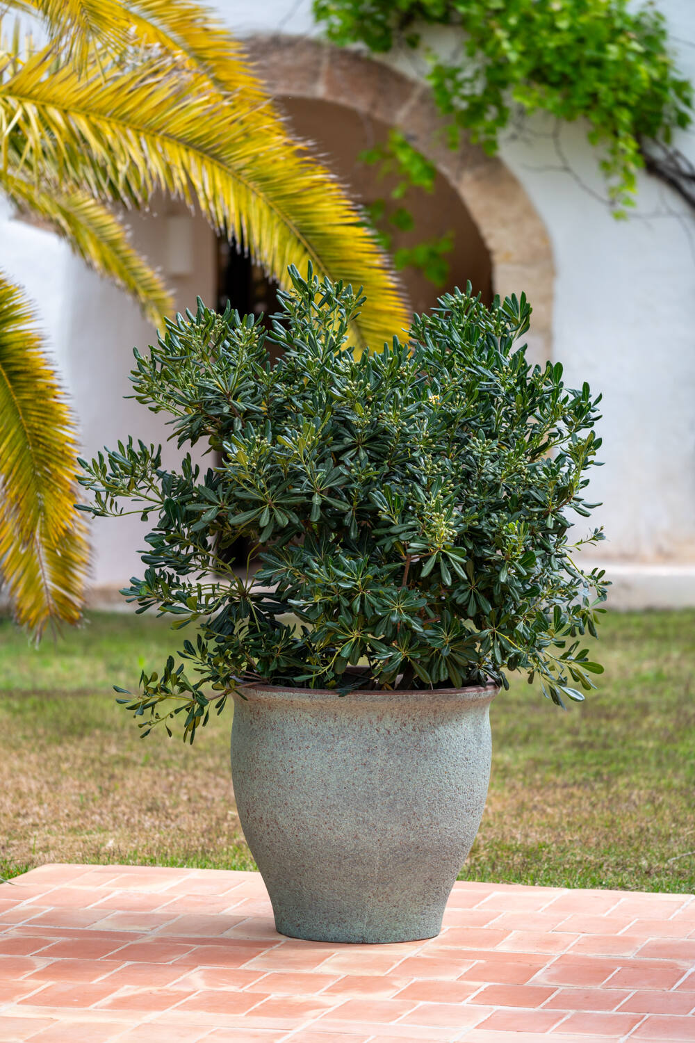 Pottery Pots - Bloempot Poseidon L, Rustiek Groen