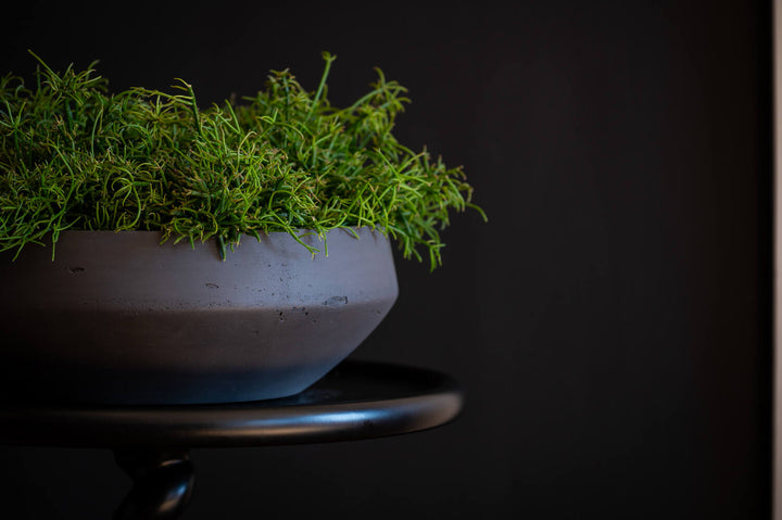 Pottery Pots - Bloempot Madu M, Zwart Washed