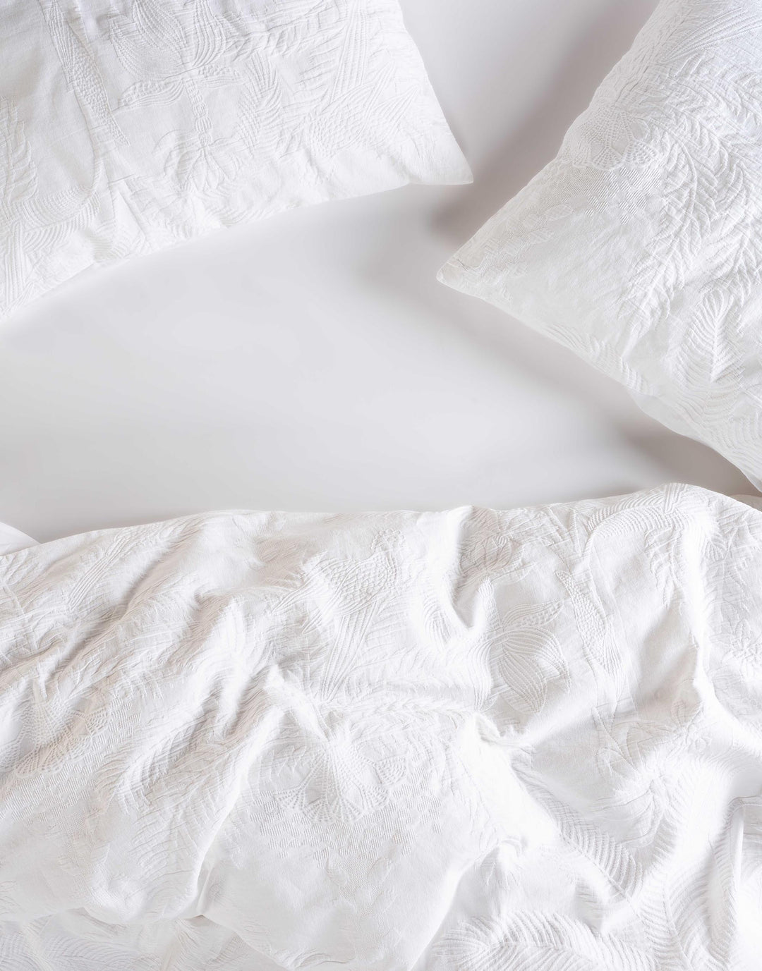 Essenza | Palma Kussensloop 60x70