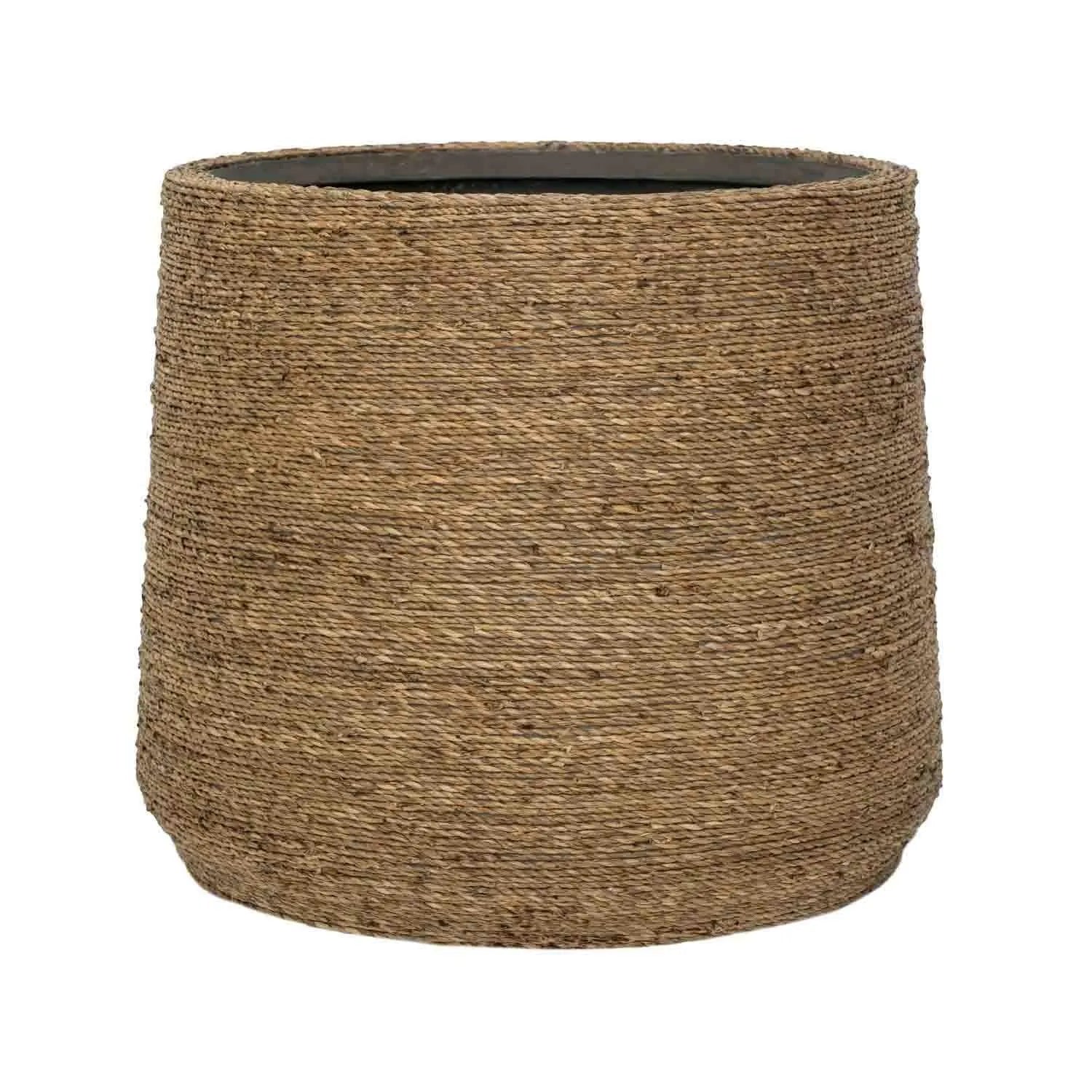 Patt XL, Straw Grass
