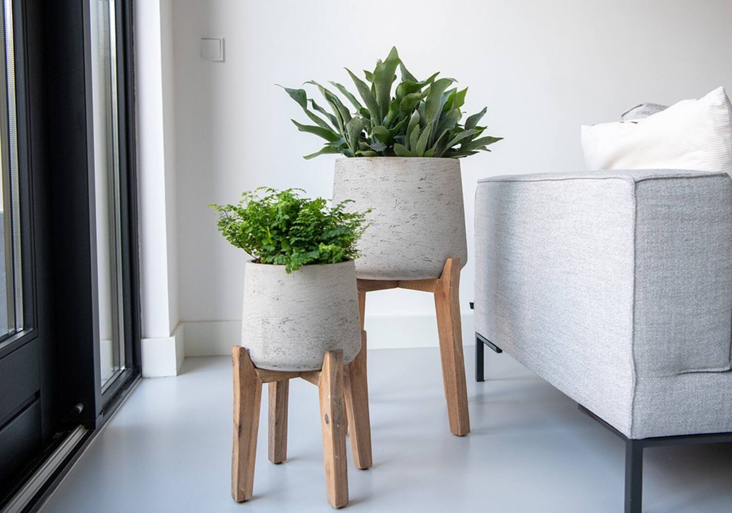 Patt XXL (Feet High), Grey Washed