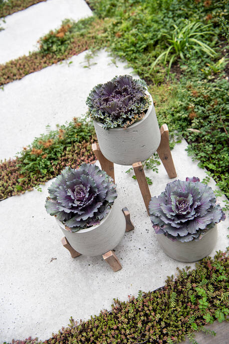 Patt XXXL (Feet Low), Grey Washed