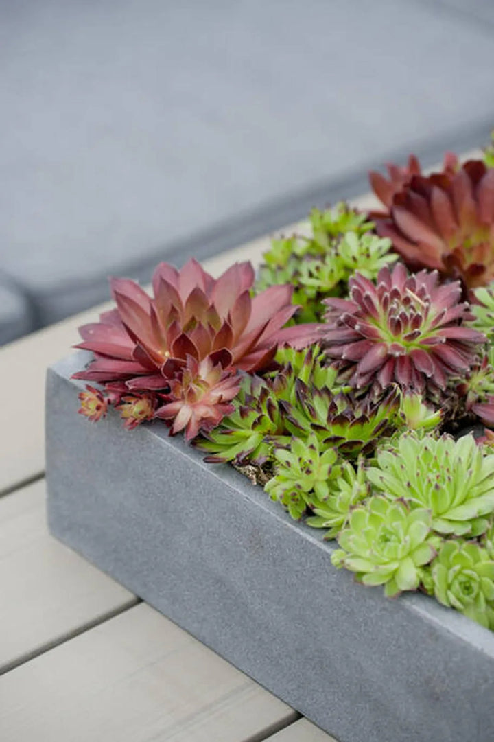 Pottery Pots - Bloempot Jack S, Grijs