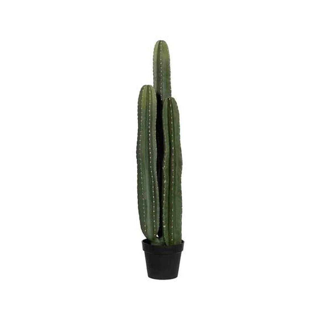 Pottery Pots - Nepplanten Cactus San Pedro XL, Groen