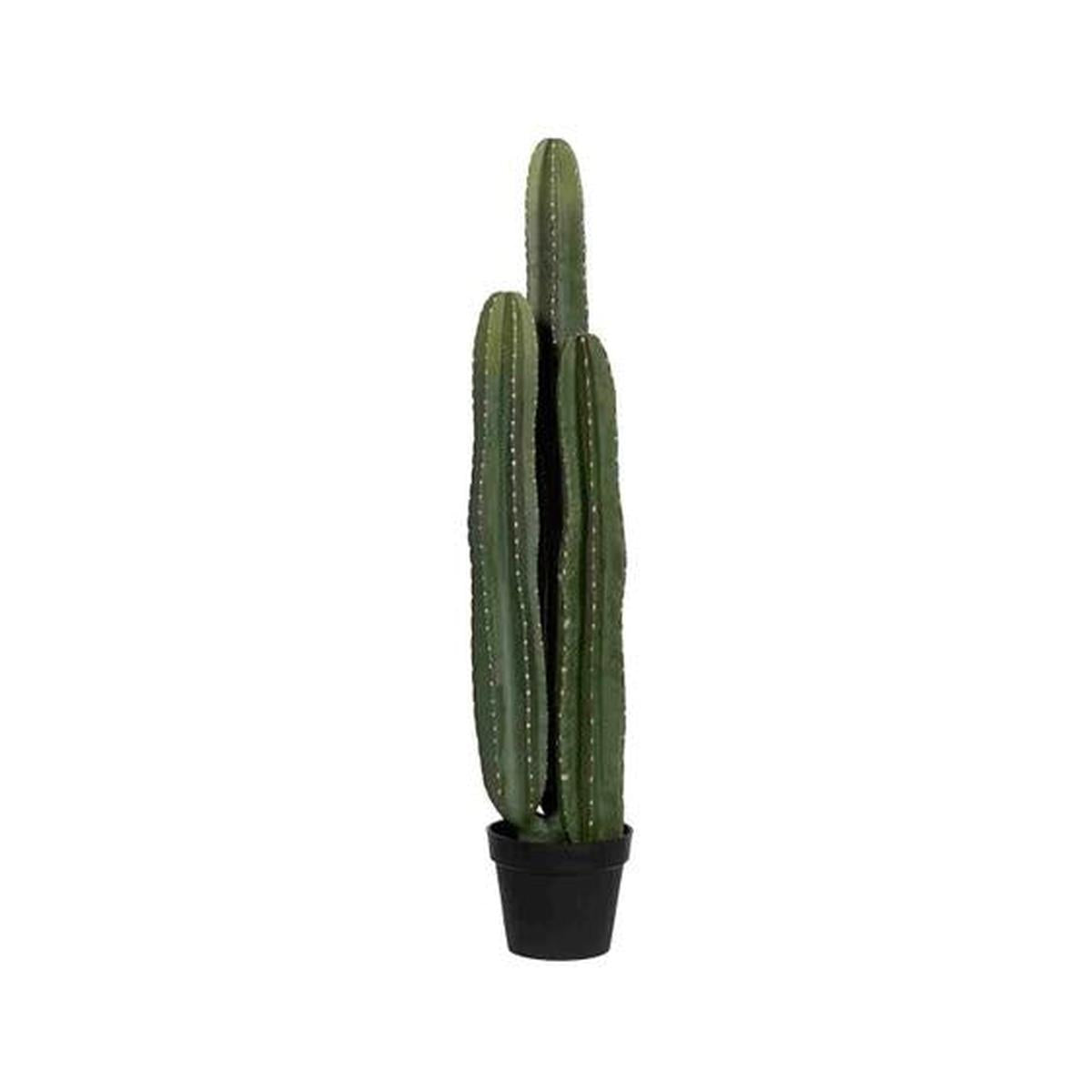 Pottery Pots - Nepplanten Cactus San Pedro XL, Groen