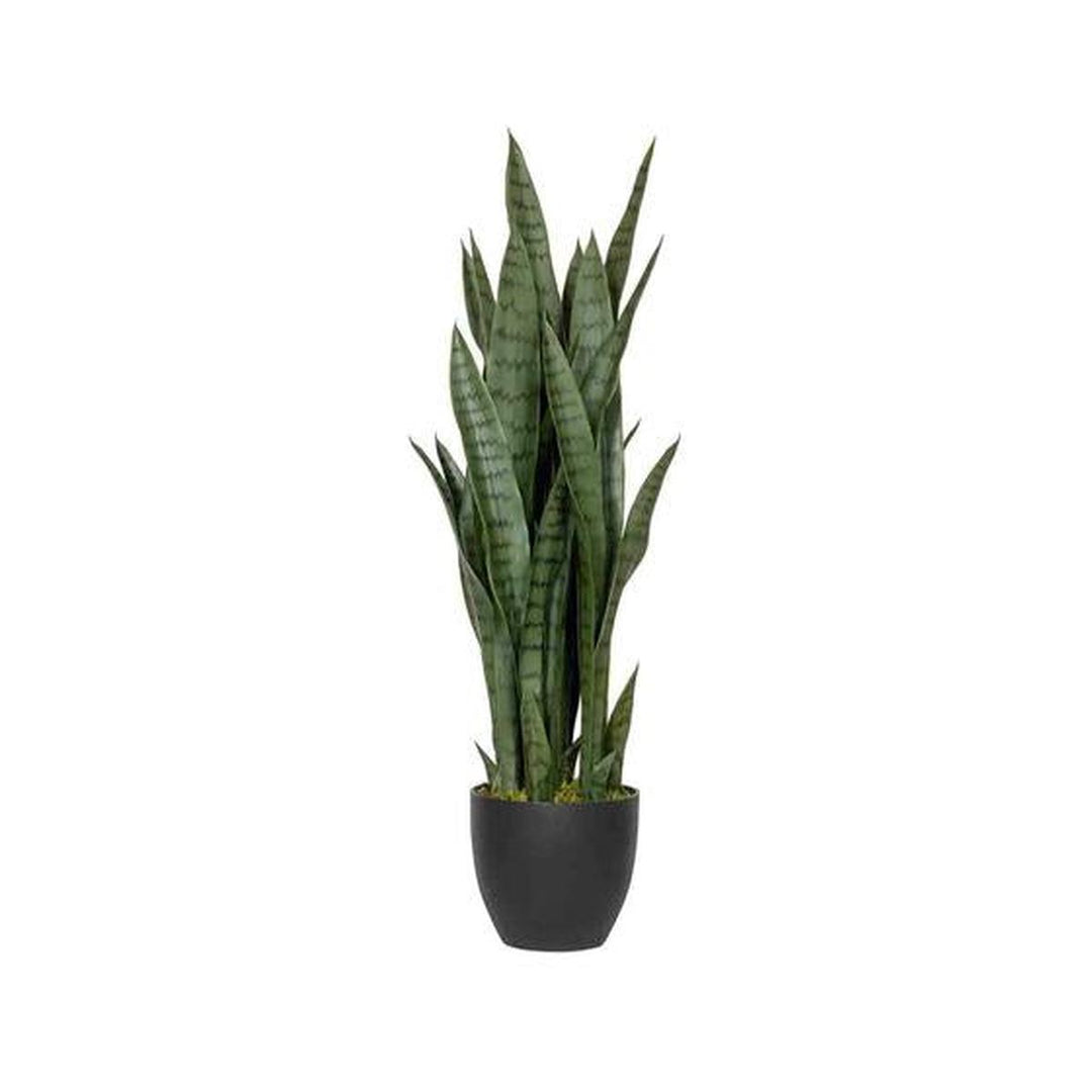 Pottery Pots - Nepplanten Sansevieria S, Groen