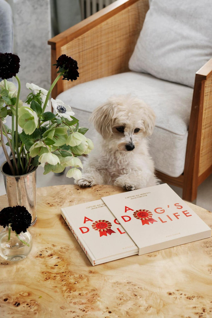 Printworks Dog Journal - A Dog&