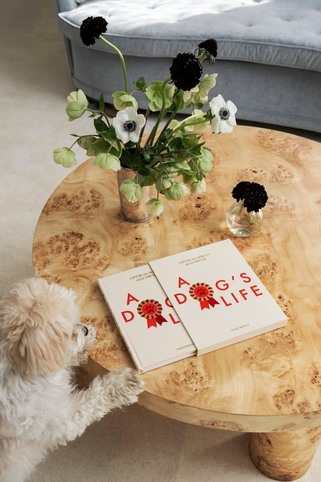 Printworks Dog Journal - A Dog&