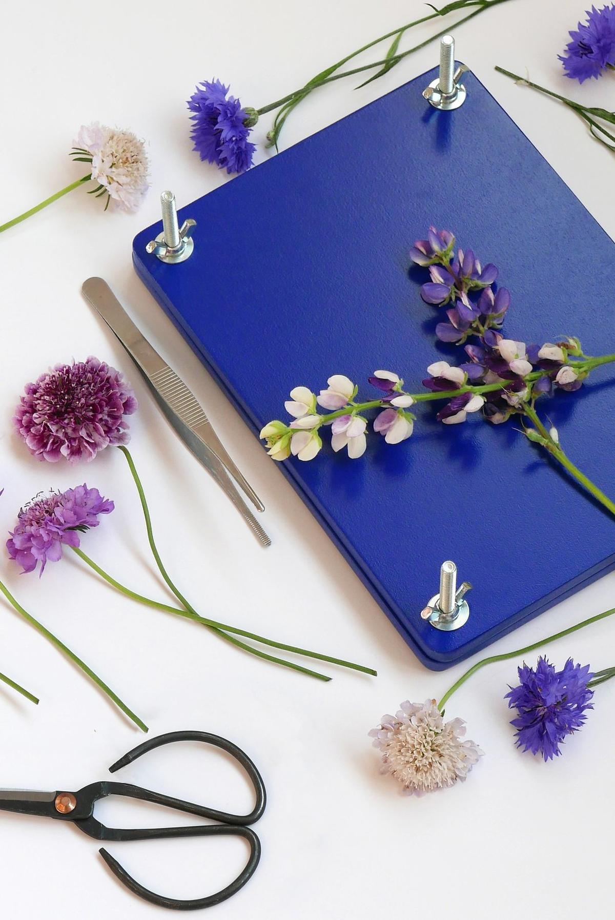 Printworks Flower Press Kit