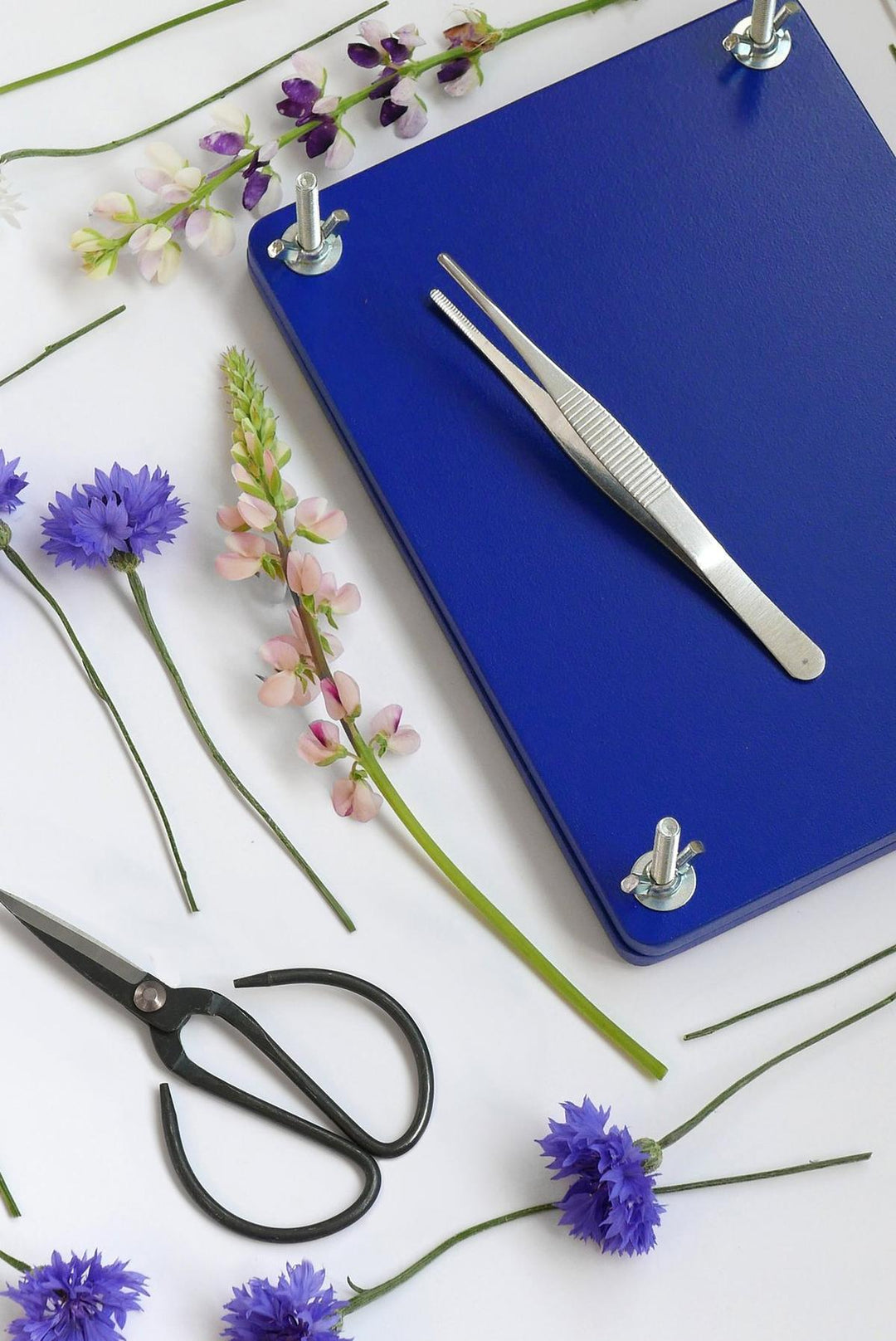 Printworks Flower Press Kit
