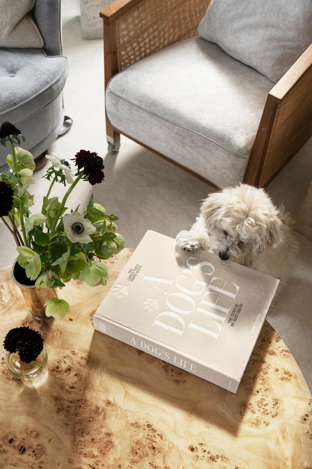 Printworks Fotoalbum - A Dog&