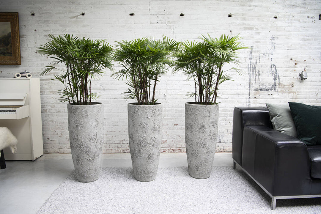 Pottery Pots - Bloempot Dax XXL, Imperial Wit