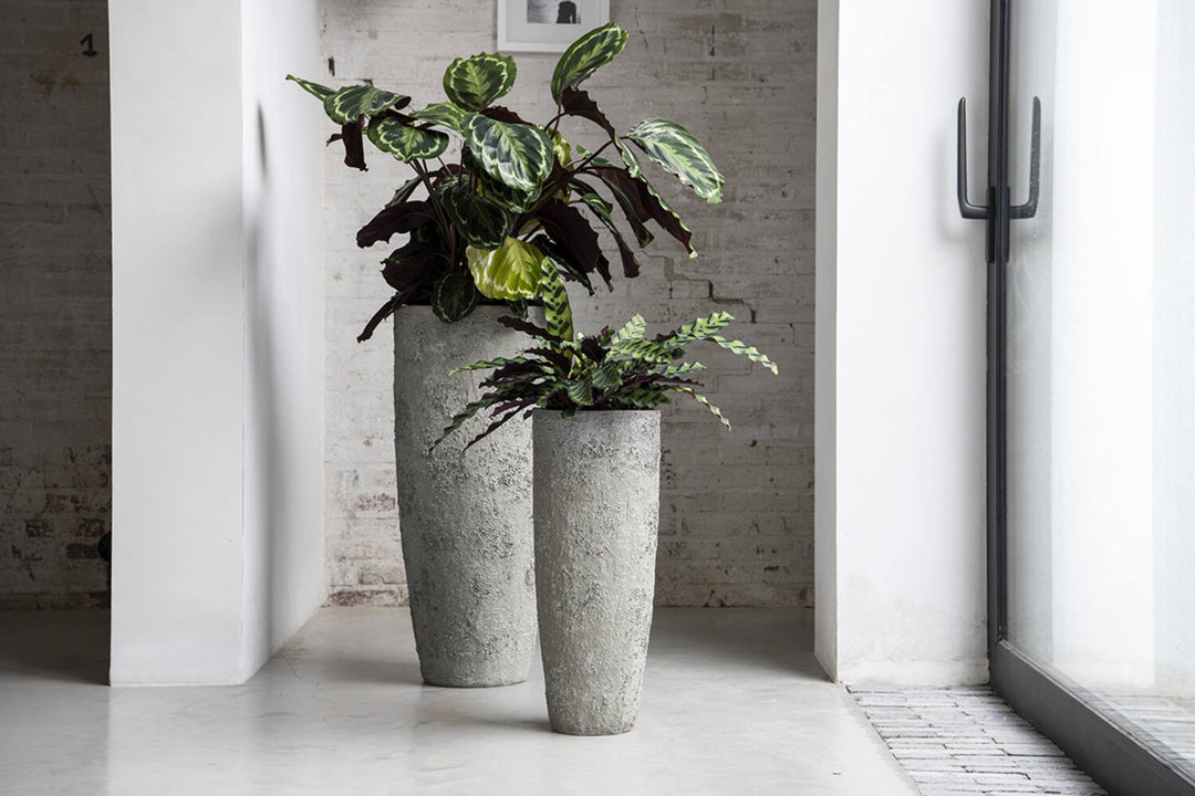 Pottery Pots - Bloempot Dax M, Imperial Wit