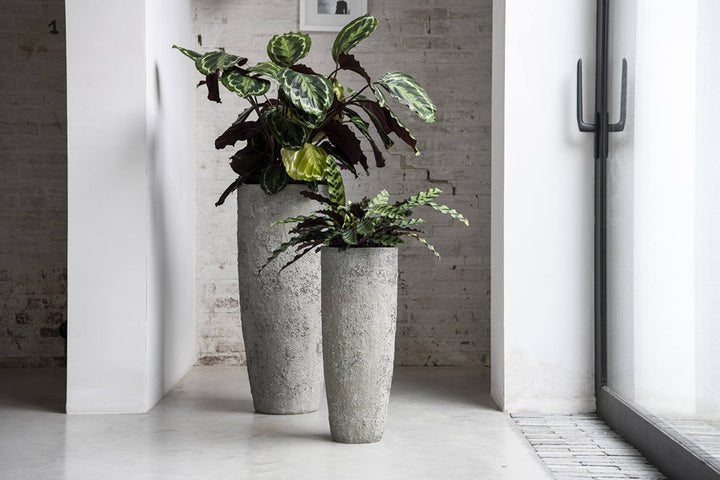 Pottery Pots - Bloempot Dax M, Imperial Wit