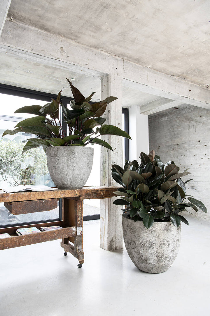 Pottery Pots - Bloempot Jesslyn S, Imperial Wit