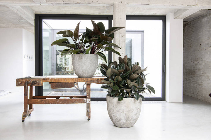 Pottery Pots - Bloempot Jesslyn S, Imperial Wit