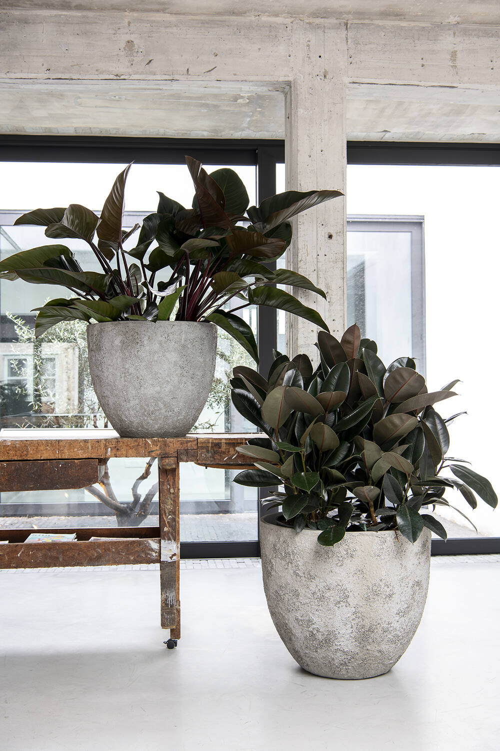 Pottery Pots - Bloempot Jesslyn L, Imperial Wit