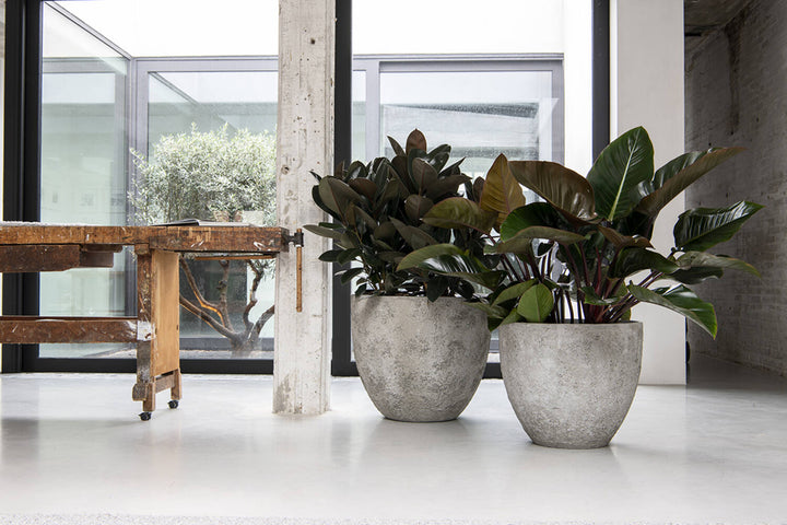 Pottery Pots - Bloempot Jesslyn L, Imperial Wit