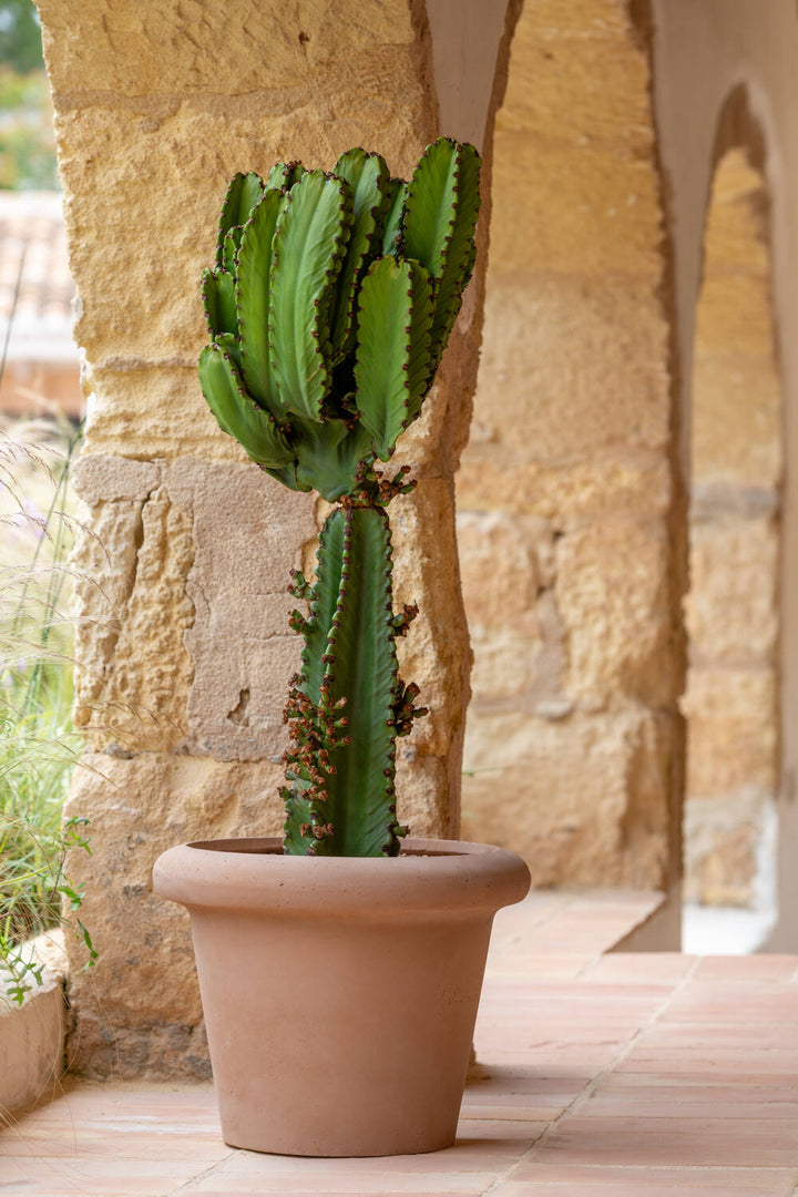 Pottery Pots - Bloempot Ciro M, Zachte Klei