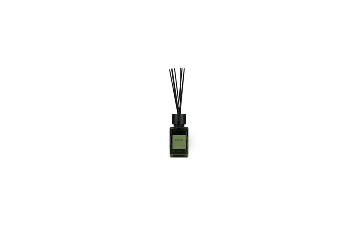 Salt &amp; Pepper - Geurstokjes 120ml Forest Gallery