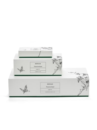 Serax - Tomorrowland - CHAMPAGNECOUPE DRAGONFLY UNITY - Set van 4