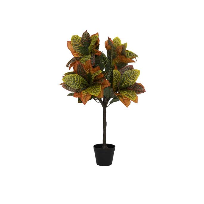 Pottery Pots - Nepplanten Codiaeum M, Groen