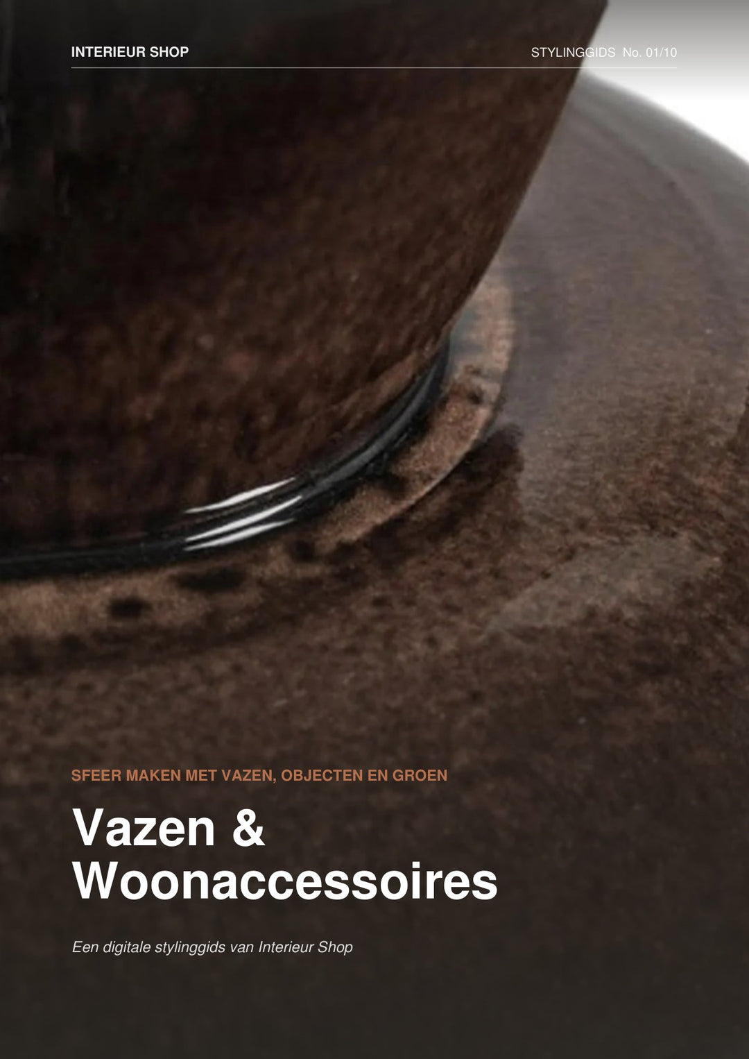 Digitale Stylinggids: Vazen &amp; Woonaccessoires (PDF)