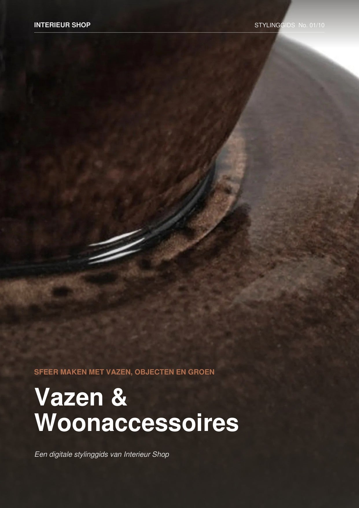 Digitale Stylinggids: Vazen & Woonaccessoires (PDF)