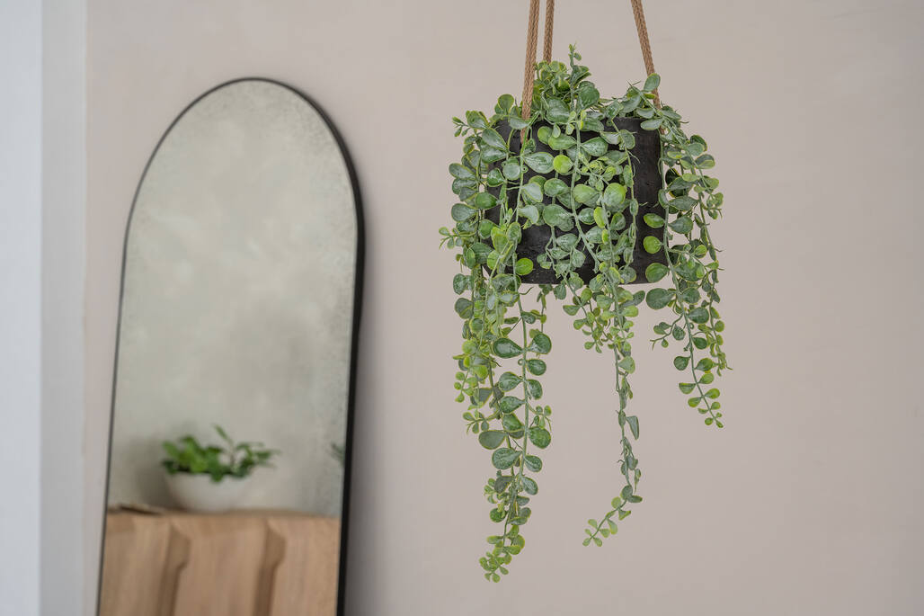 Pottery Pots - Nepplanten Senecio M, Groen