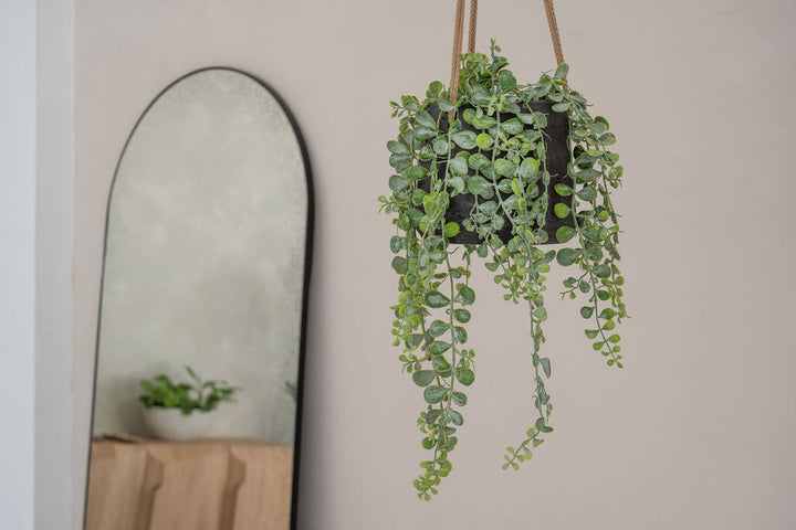 Pottery Pots - Nepplanten Senecio M, Groen