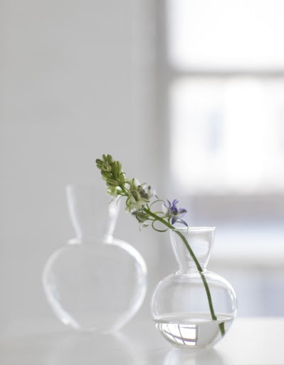 Serax - Pascale Naessens - VAAS L PURE