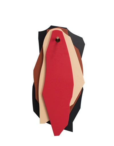 CUTTING BOARDS ZWART BRUIN ROZE ROOD