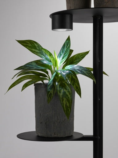 Serax - Morris Marigo - Magnetisch Spot Display Zwart Display